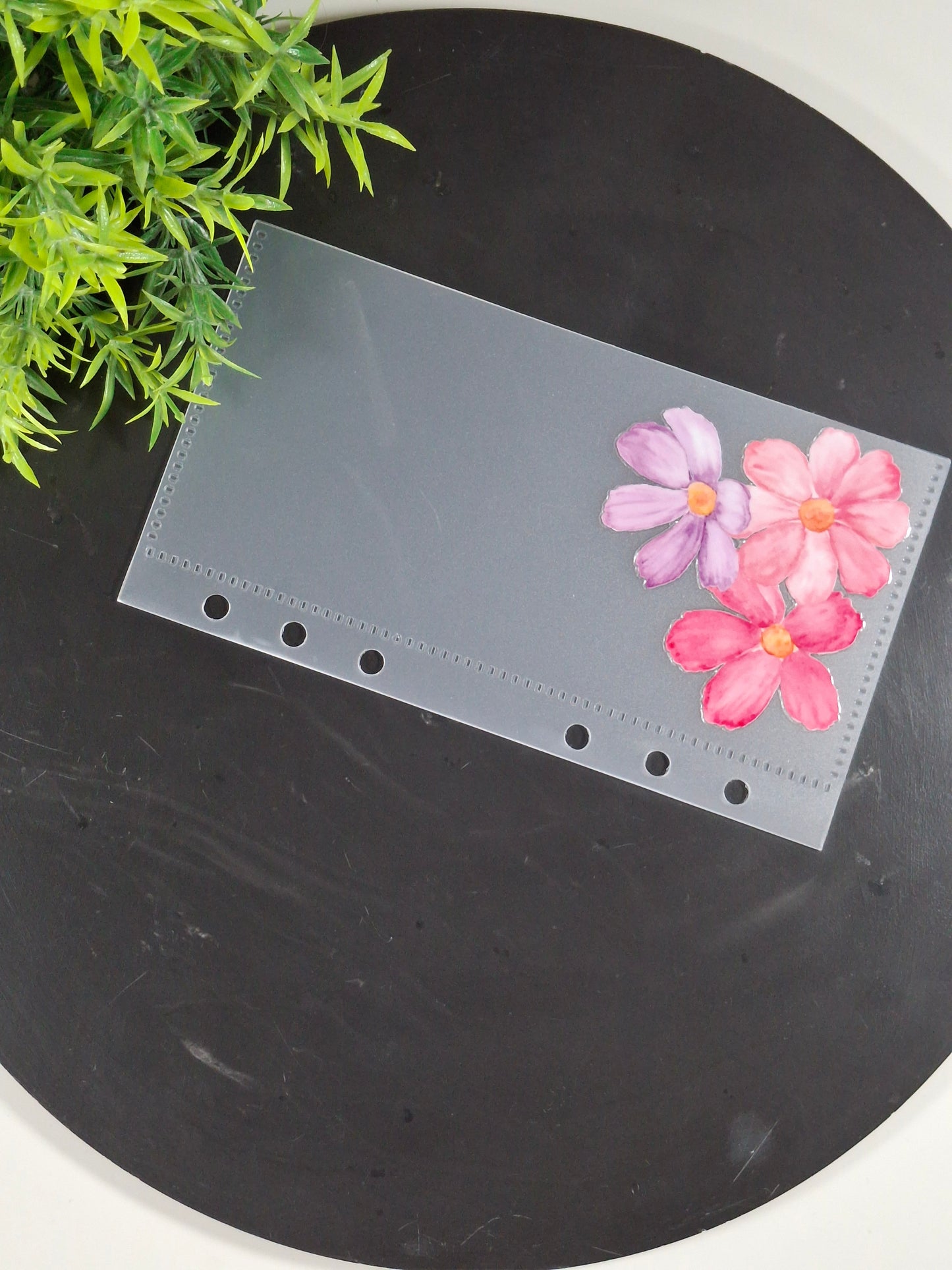 Set of 6 Flower cash envelopes