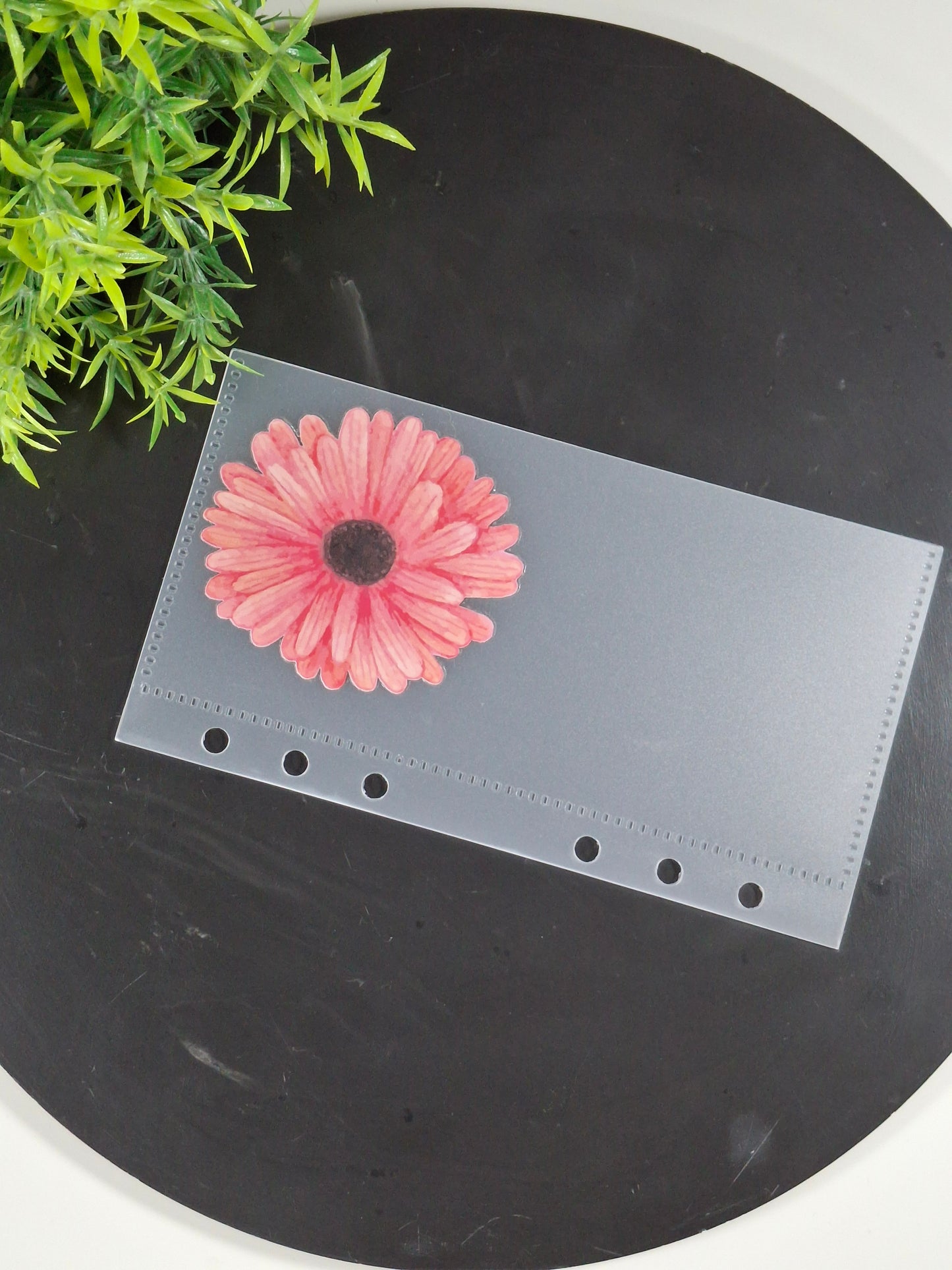 Set of 6 Flower cash envelopes