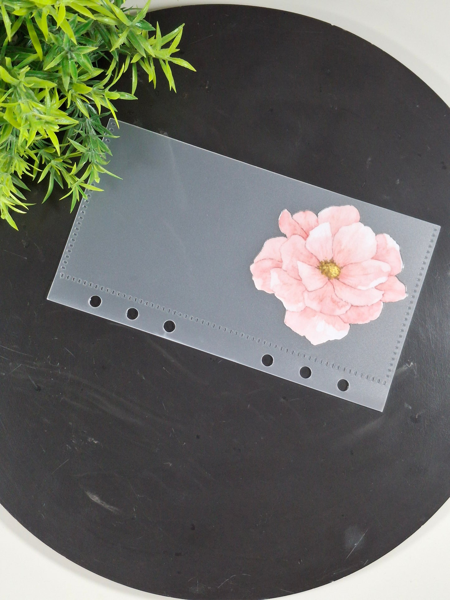 Set of 6 Flower cash envelopes