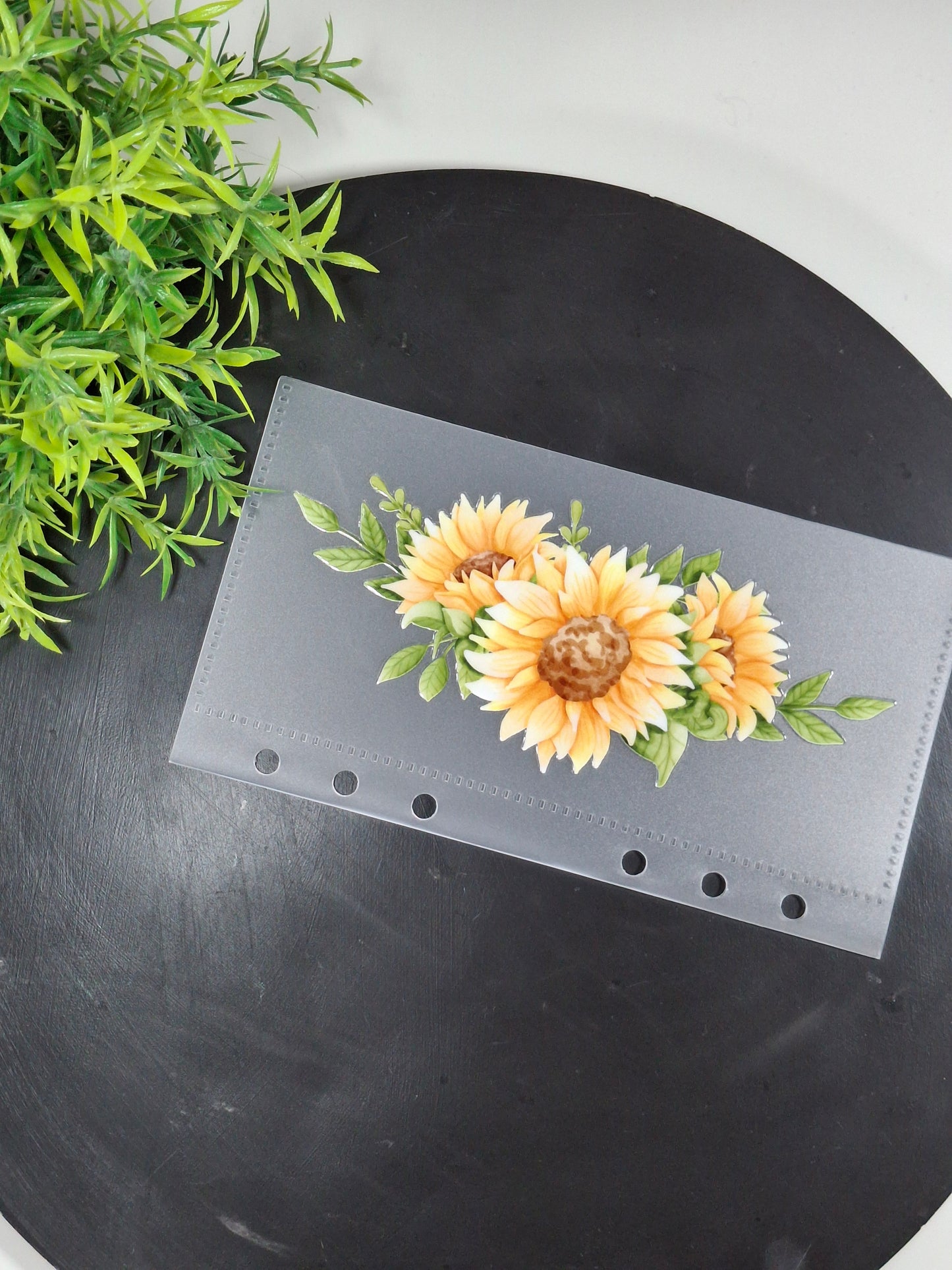 Set of 6 Sunflower cash envelopes