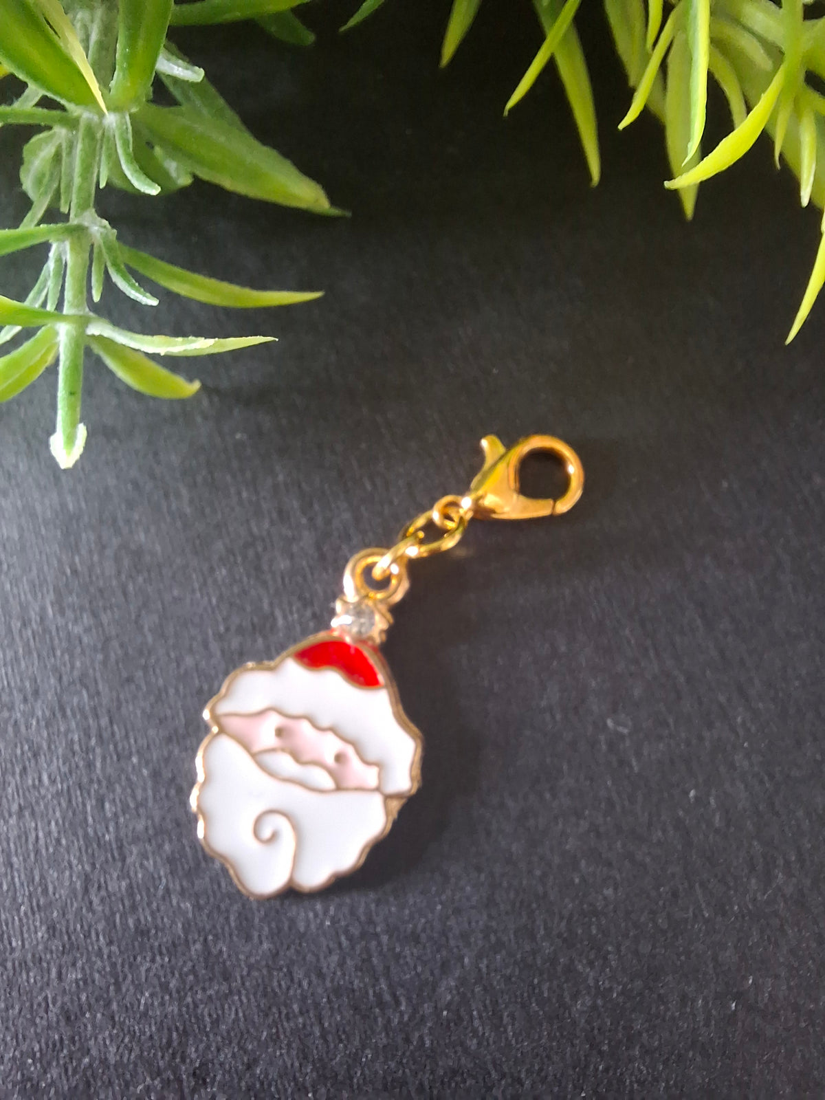 Santa Accessory