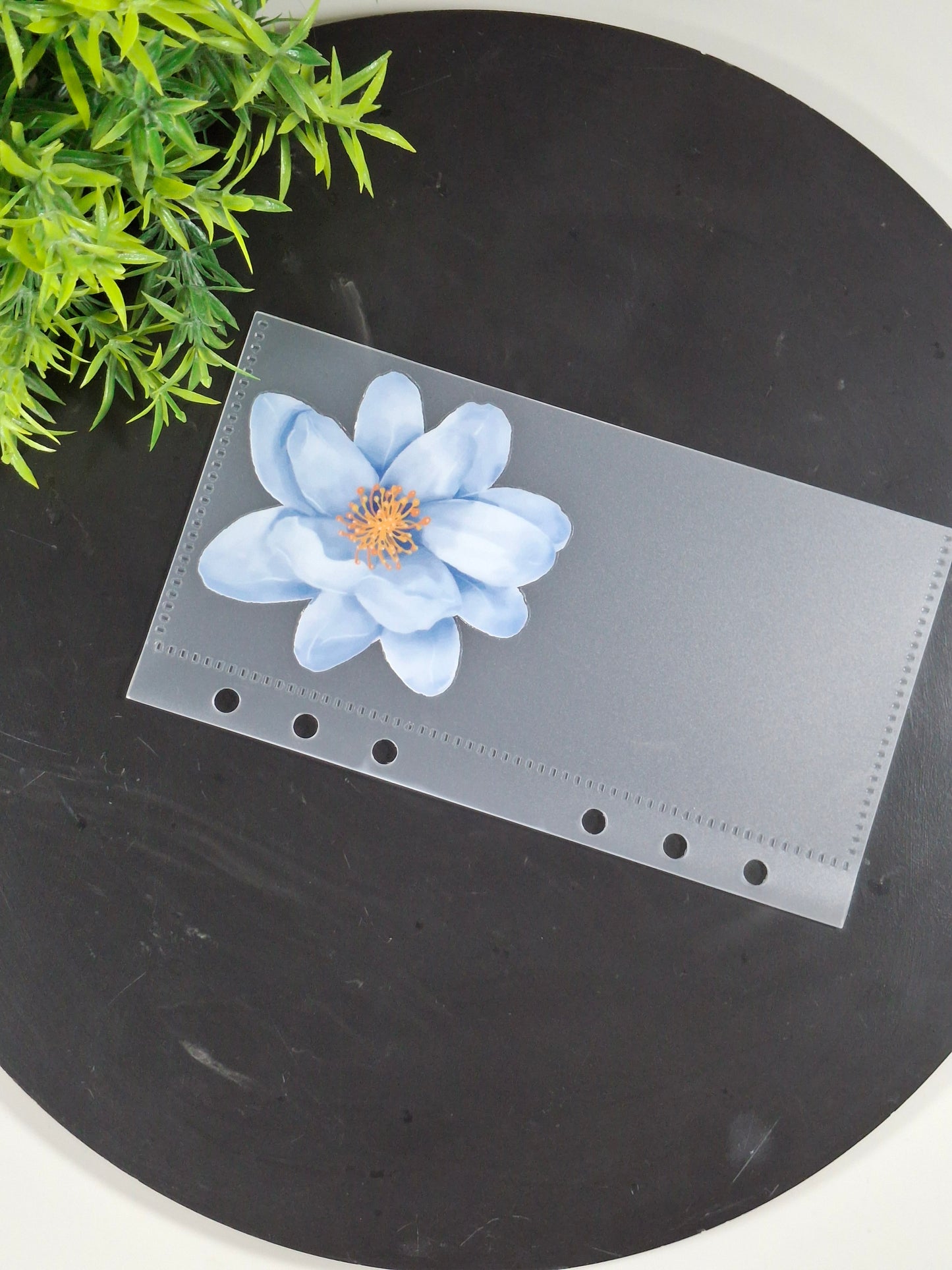 Set of 6 Flower cash envelopes