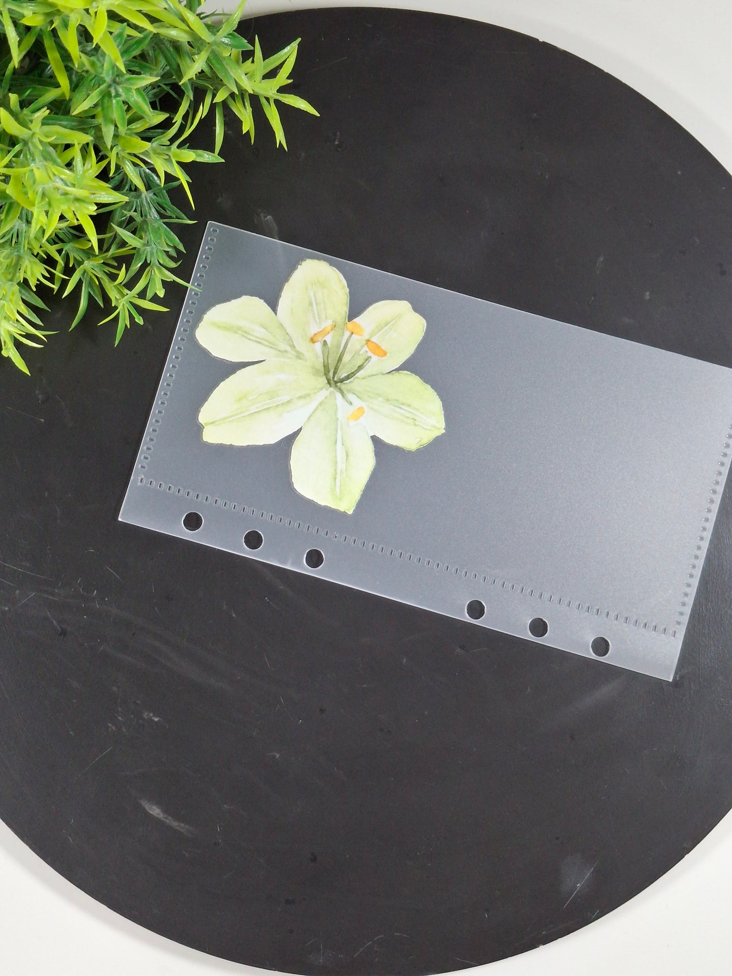 Set of 6 Flower cash envelopes