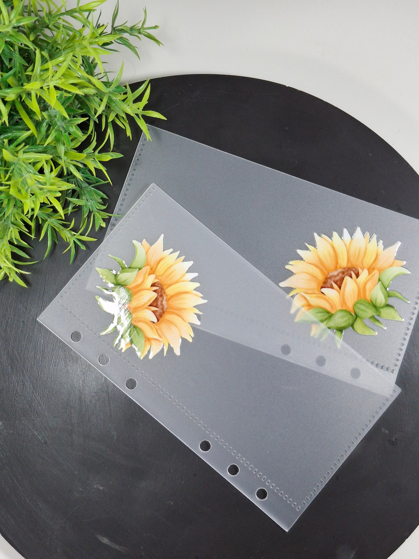 Set of 6 Sunflower cash envelopes