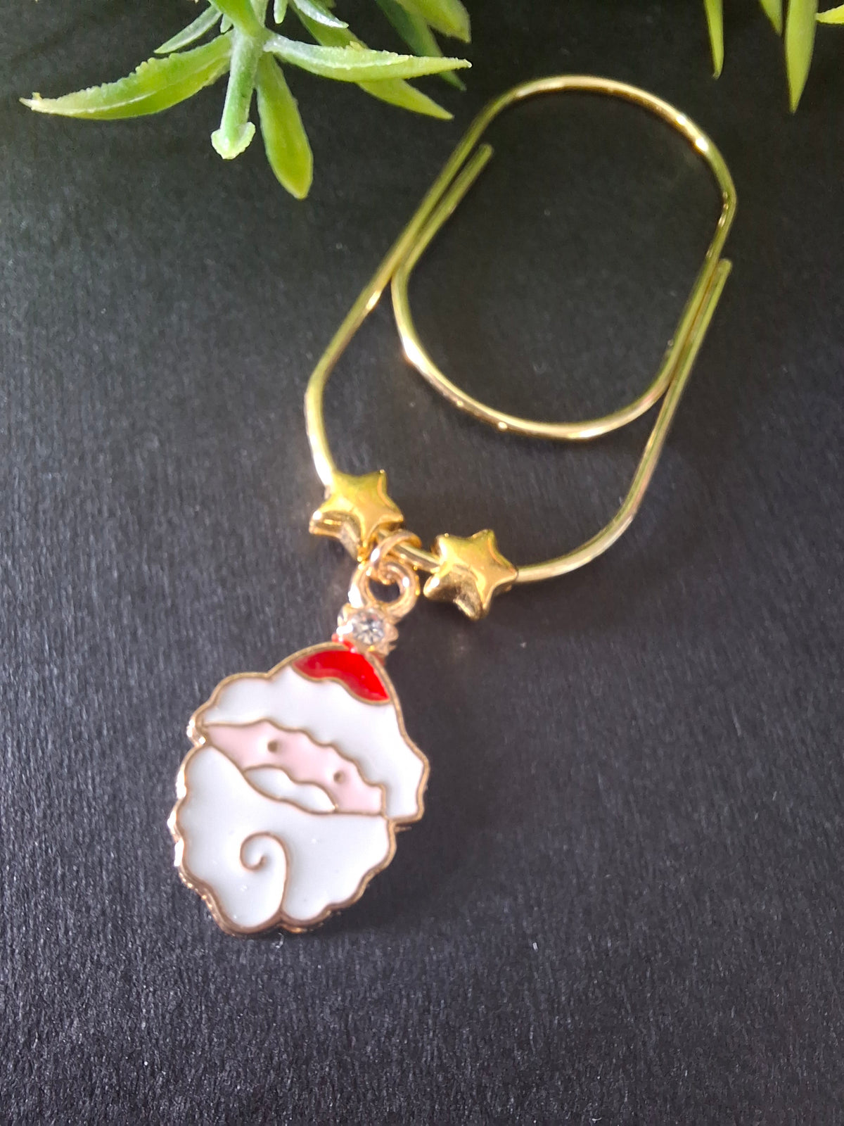 Santa Accessory