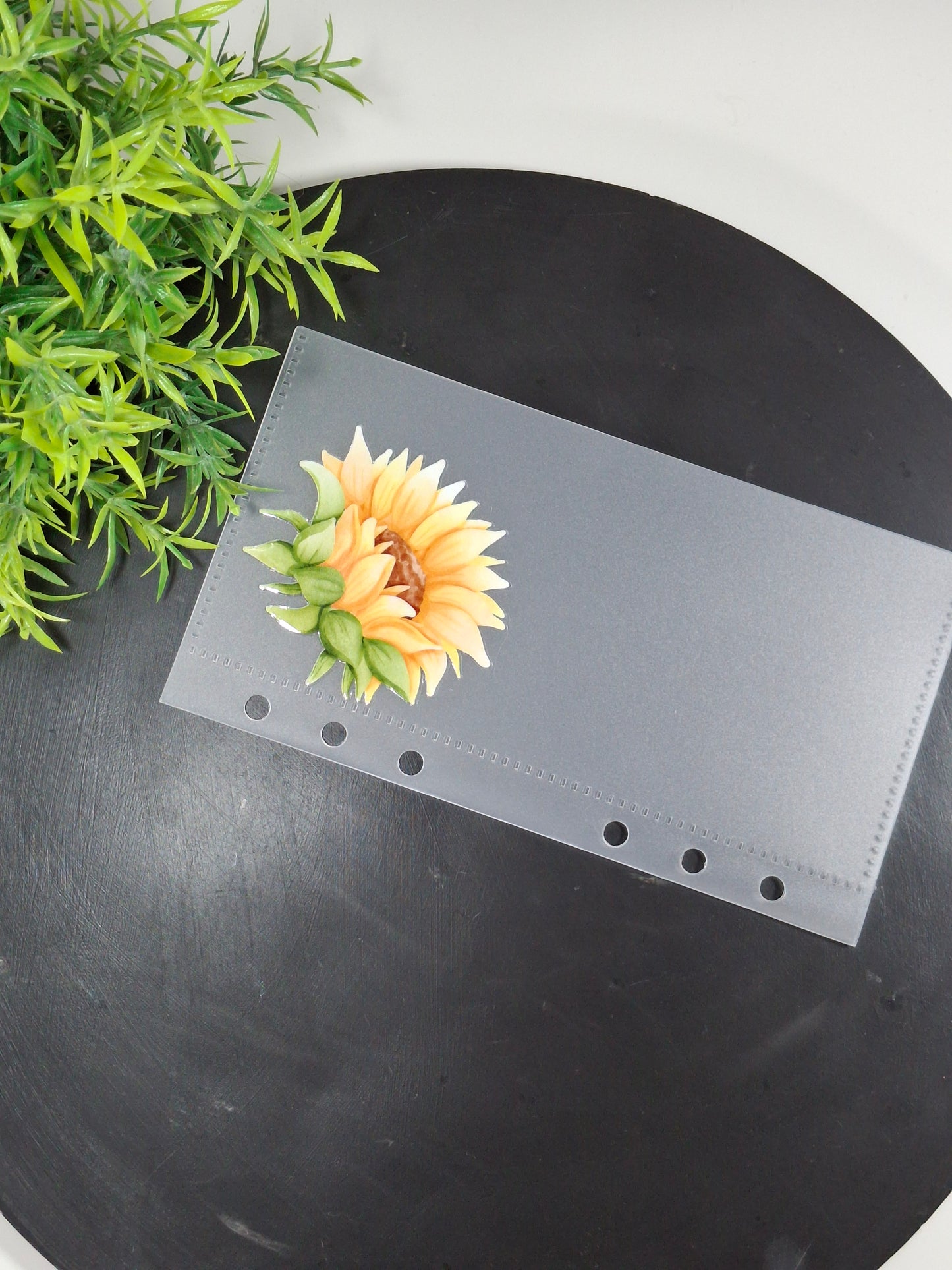Set of 6 Sunflower cash envelopes