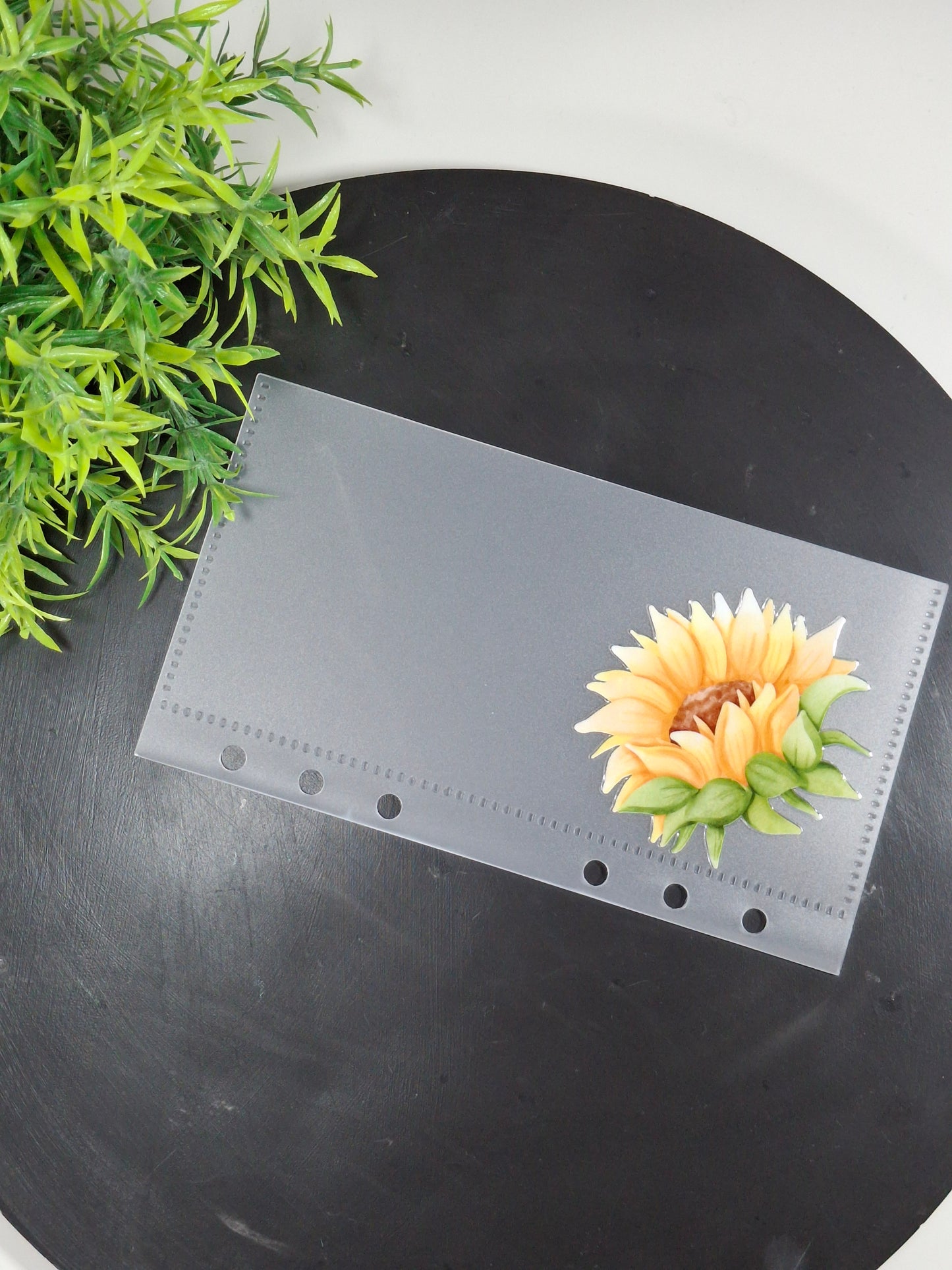 Set of 6 Sunflower cash envelopes