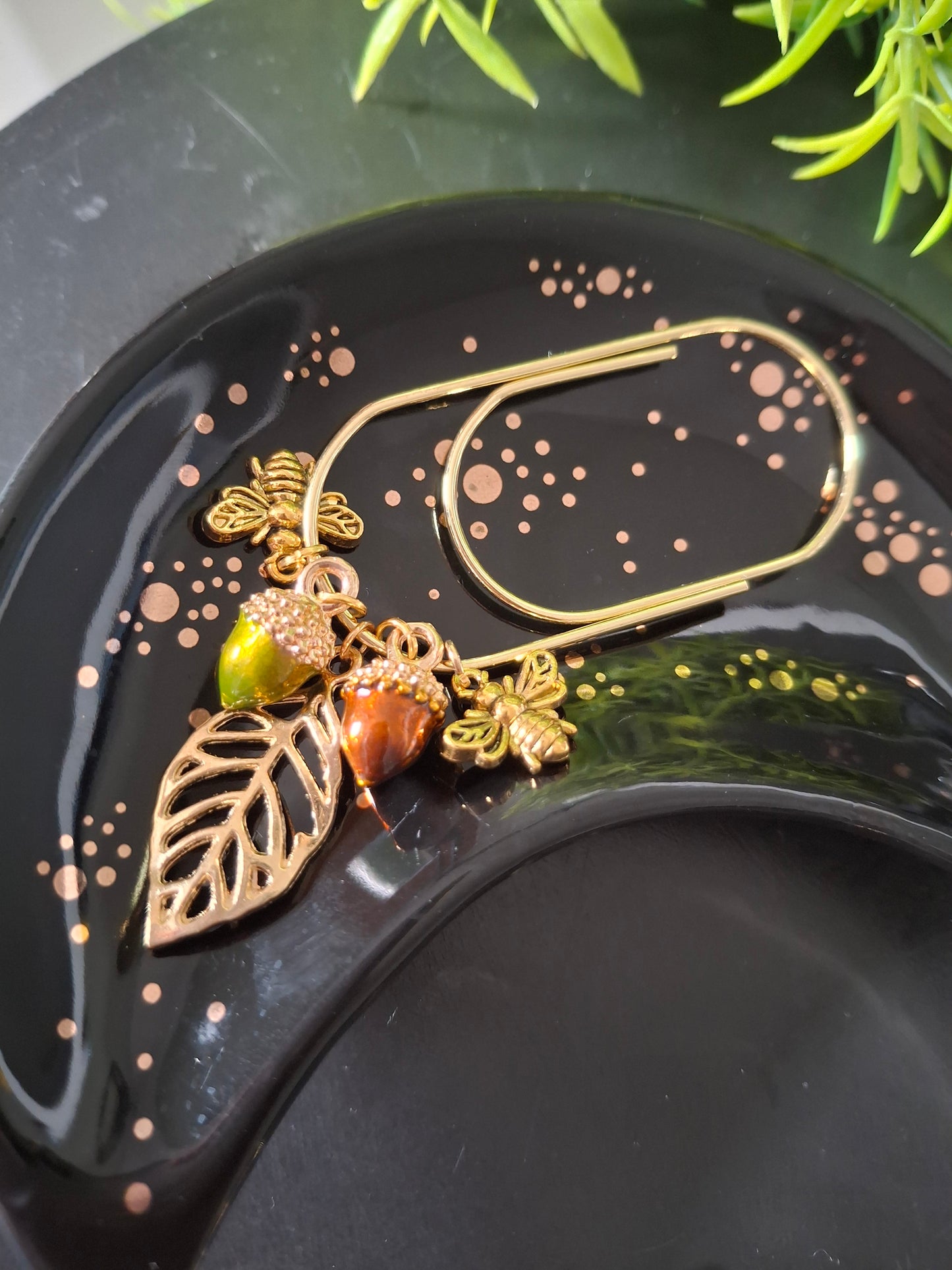 Autumn Collection